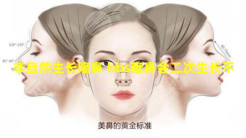 非自然生长隆鼻 bbs隆鼻会二次生长不